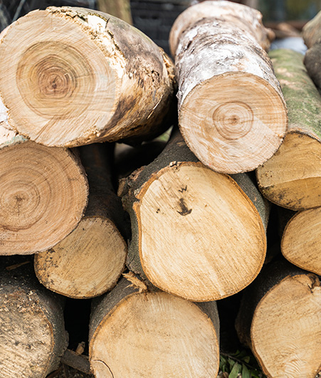 Environmental protection and energy saving